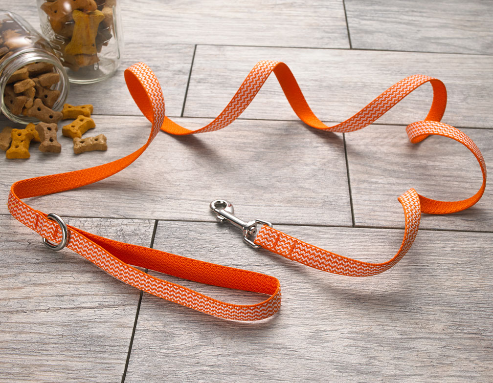 Orange Chevron Dog Leash