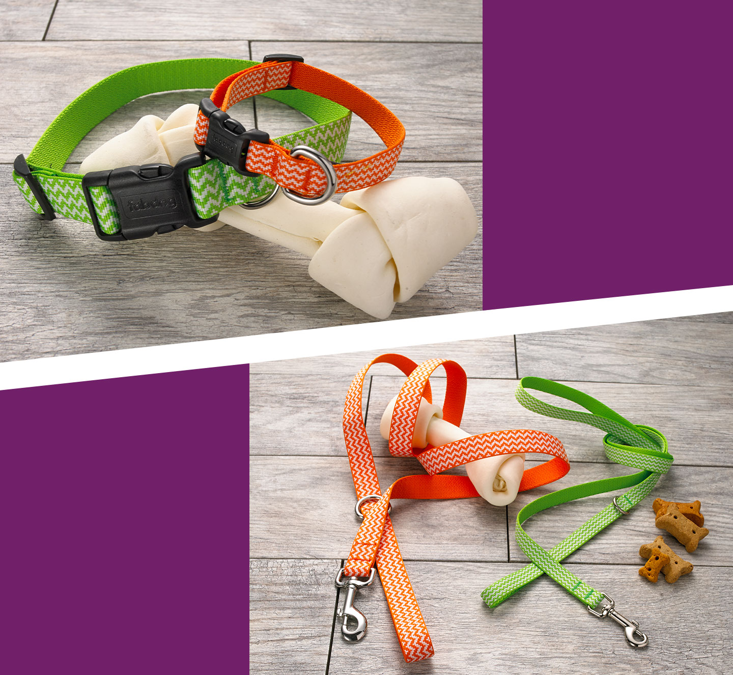 Dog collar & dog leash