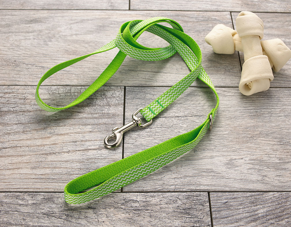 Green Chevron Dog Leash