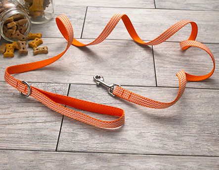 Home2 Collar & Leash